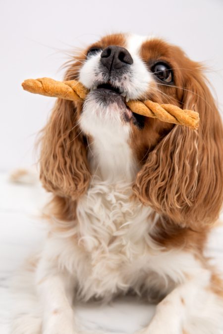 Selbstgebacken schmeckt's am besten: Dumbo mit seiner Polenta-Stange aus "Mach Plätzchen!". Foto © A. Vicario aus "Mach Plätzchen!", Verlag Eugen Ulmer