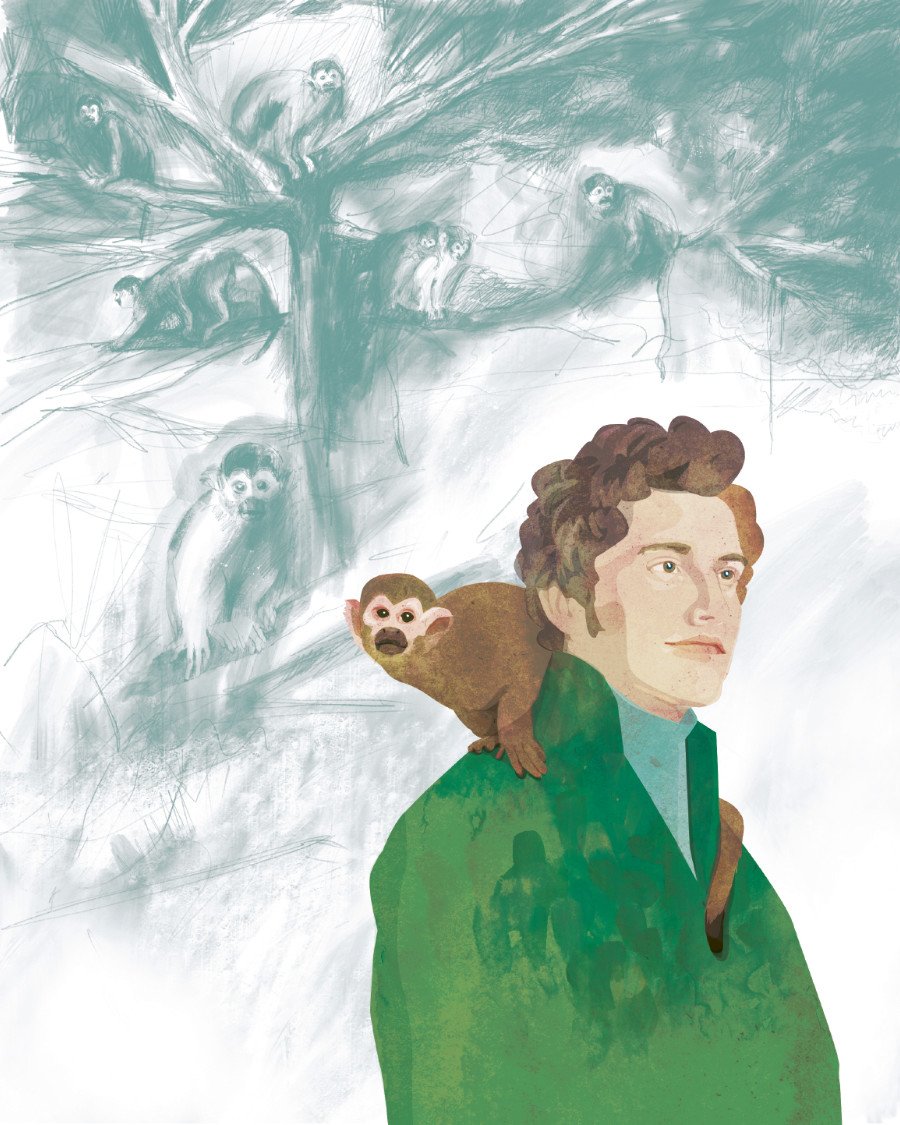 Neugierig blickt das Kapuzineräffchen dem großen Forschungsreisenden Alexander von Humboldt über die Schulter