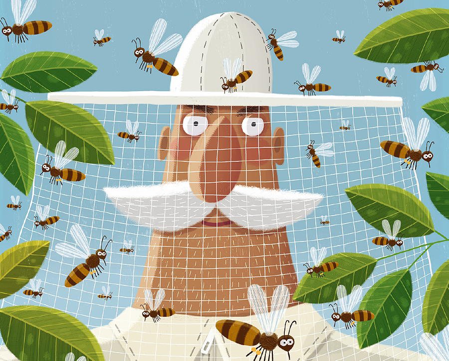 BIENEN von Piotr Socha, ein Bilderbuch nicht nur für Bienenliebhaber