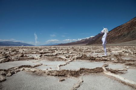 Fabelwesen werden lebendig: Die Kollektion Dreamscapes von ANCHOVY entführt uns in eine geheimnisvolle Welt. © Julija Goyd