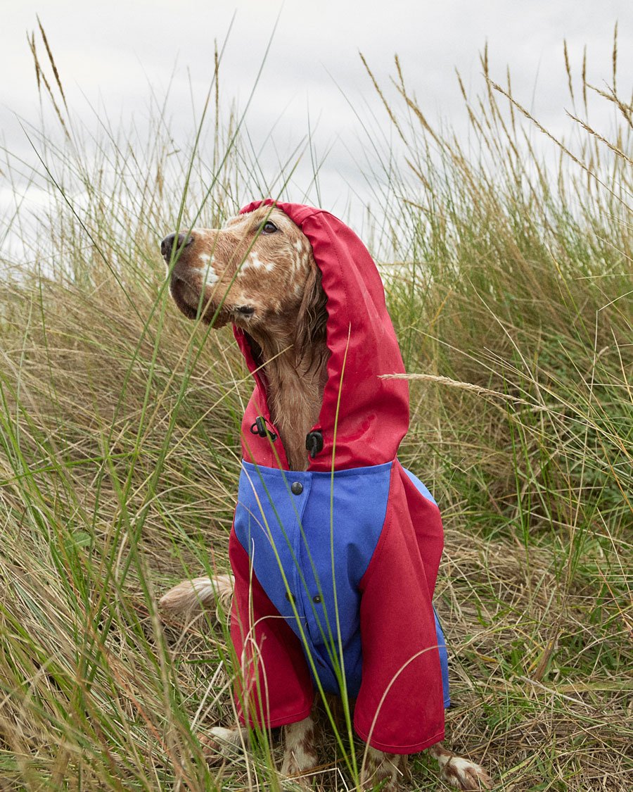 Snoop Doggy Dogg: Hippe Hunde kleiden sich nachhaltig in der neuen GREEN PAW Regenjacke von THE PAINTER'S WIFE