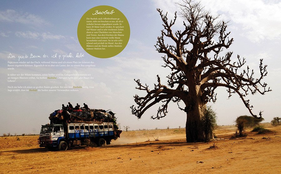 Eine der schönsten Seiten aus dem Buch "Mein Mali": Im überfüllten Bus am riesigen Baobab Baum vorbei