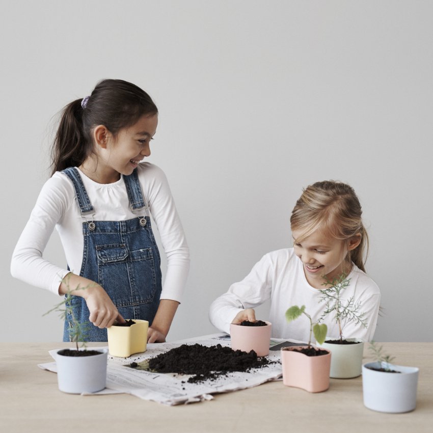 Spaß haben und dabei der Umwelt Gutes tun: Mit "Your Tree" will RIG-TIG nicht nur Kinder für das Thema Klimaschutz sensibilisieren