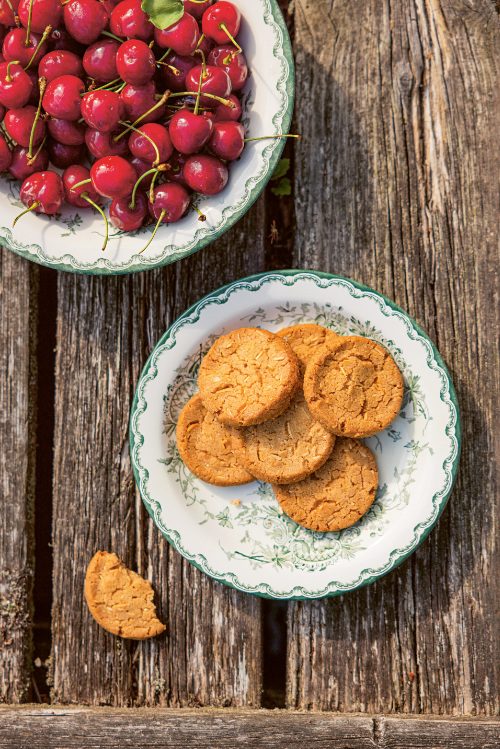 Kirschen und Bauernkekse: perfektes Duo fürs Sommerpicknick. Foto © Lina Eidenberg Adamo/Oetinger Verlag