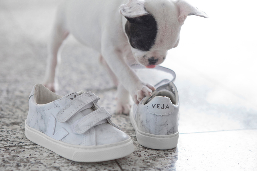 „Genau mein Beuteschema“ – die kleine Dogge hat sich das Kindermodell aus der Limited Edition von Veja X Diapers & Milk gekrallt