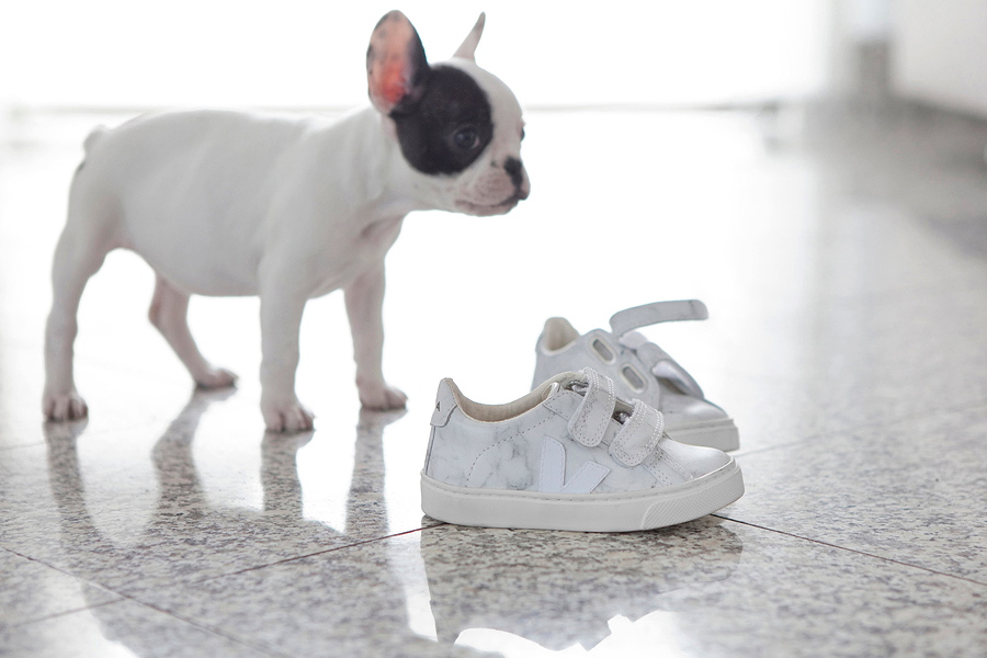 Diese Ausbeute muss bewacht werden – der ESPLAR MARBLE Small von Veja X Diapers & Milk